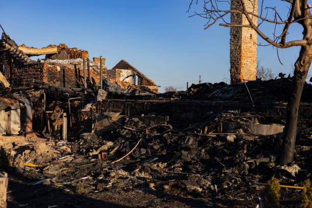 Reliable Content Restoration contractor in Lithia, FL by Fire Damage Doption
